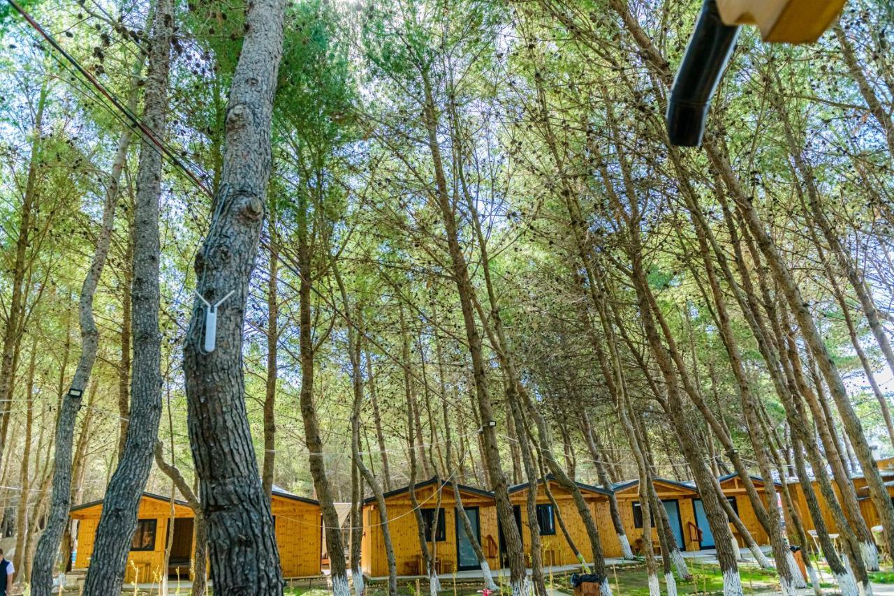 Ecuador Resort Zverneci Eksteriør billede